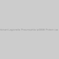 Image of Recombinant Legionella Pneumophila lpl0898 Protein (aa 1-183)